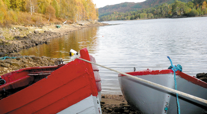 Fishing boats by the shore